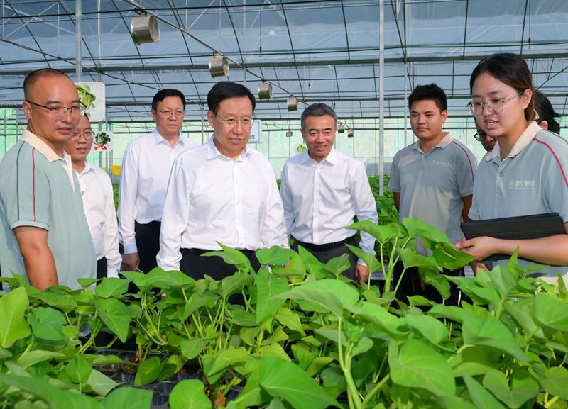 王晓晖在遂宁市南充市调研时强调  加快塑造高质量发展新动能新优势  全力推动经济平稳运行向新向优发展(图3)