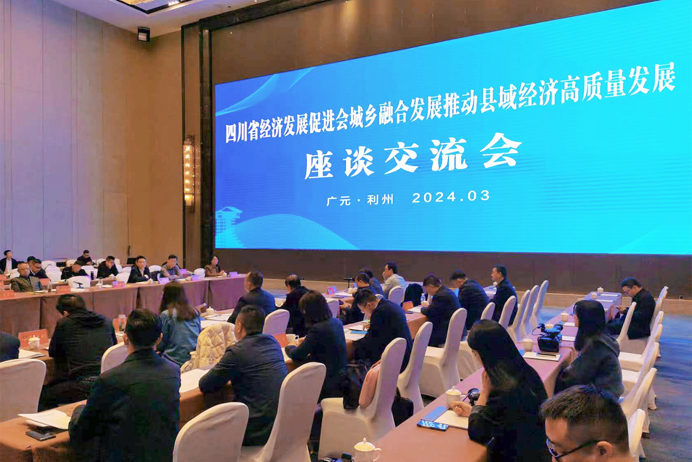 2 四川省经济发展促进会赴广元市调研城乡融合推动县域经济高质量发展(图6)