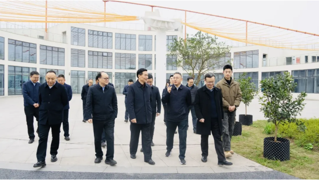 3152 全国政协常委、四川省政协副主席刘旭光率队赴富顺县调研现代农业与乡村振兴工作(图1)