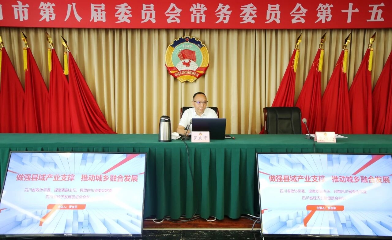 四川省经济发展促进会罗友平会长在乐山市政协第八届常委会第十五次会议上专题讲座