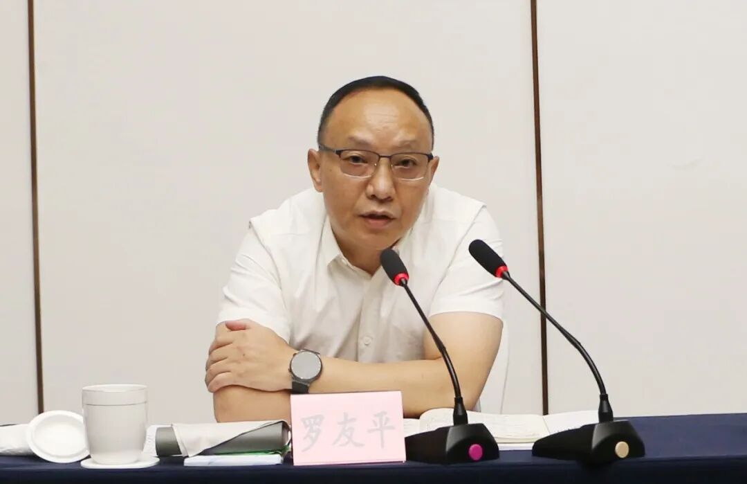 四川省经济发展促进会调研组赴阆中市调研座谈(图2) 四川省经济发展促进会调研组赴阆中市调研座谈(图2)