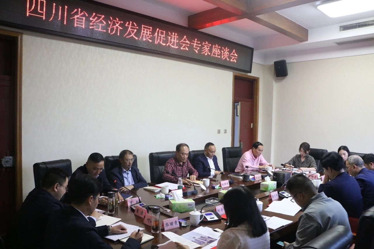 四川省经济发展促进会召开专家座谈会 赵振铣 罗友平出席
