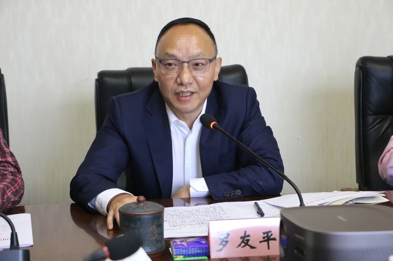 四川省经济发展促进会召开专家座谈会 赵振铣 罗友平出席(图2)